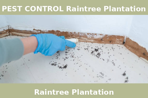 PEST CONTROL Raintree Plantation